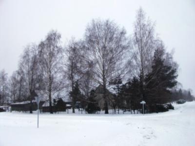 picture_009.jpg