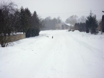 picture_013.jpg