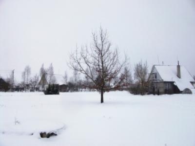 picture_014.jpg