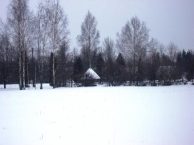 picture_028.jpg