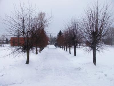 picture_029.jpg