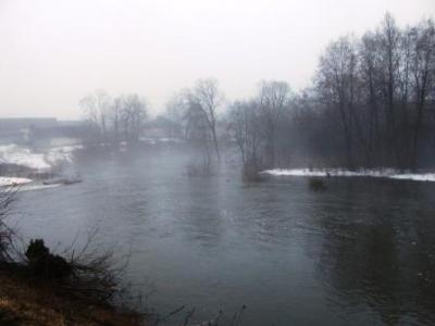 Kovo 21 d.