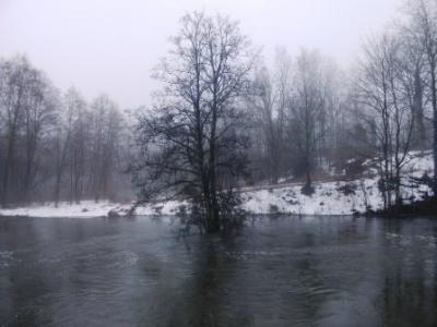 Kovo 21 d.